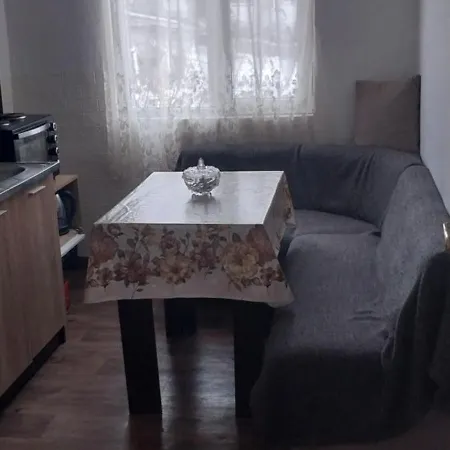 за гости дима *